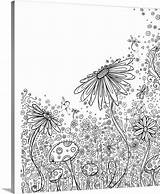 Coloring Canvasondemand Canvas Field Flowers sketch template