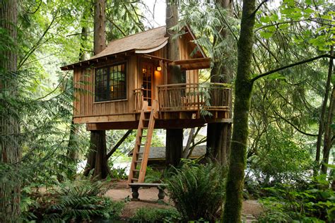 treehouse point