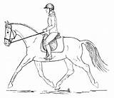 Caballo Riding Jinete Riders Rider Doma Posture sketch template