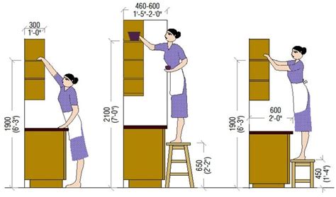 optimum size  kitchen furniture  respect  human dimensions