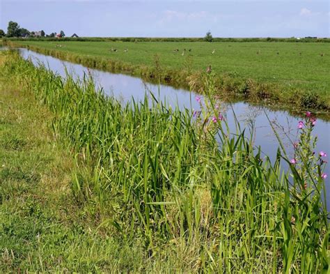 water land dijken boeren leggen  kilometer nieuwe