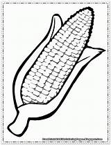 Corn Coloring Pages Cob Printable Cartoon Kids Clipart Color Drawing Thanksgiving Vegetable Cliparts Harvest Preschool Clip Fall Pre Fruit Printables sketch template