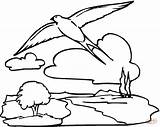 Sky Coloring Pages Swallow sketch template