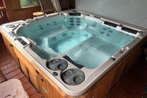 self cleaning 790 the hot tub and swim spa company