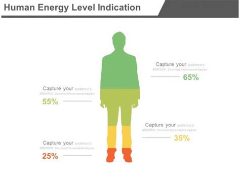 human energy level indication percentage chart powerpoint