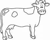 Cow Clipart Clip Cattle Cliparts Cartoon Cows Horse Farm Outline Colour Realistic Library Carson Bw Ces Index Bmp Cliparting School sketch template