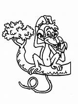 Apen Aap Singe Malvorlage Affen Ausmalbilder Colorare Coloriages Affe Banaan Dieren Mewarnai Monyet Animasi Scimmie Singes Malvorlagen Animaties Bewegende Bergerak sketch template