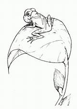 Broasca Colorat Desene Frogs Planse Contoh Menggambar Daun Mewarna Mewarnai Belajar Imaginea Balta Educative Analytics Trafic sketch template