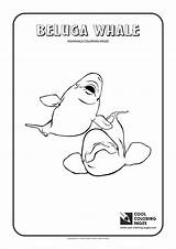 Beluga Whale Pages Coloring Cool Print sketch template