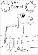Letter Pages Camel Coloring Color sketch template