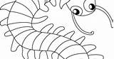 Millipede Template Centipede Pages sketch template
