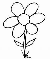 Tracing Drawing Flower sketch template