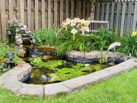 information    build  small pond   garden