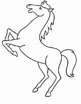 Pintar Cavalos Cavalo sketch template