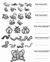 Insect Kids Worksheets Parts Preschool Worksheet Bug Count Color Insects Printable Grade Coloring September Counting Worksheeto 2010 Atom Via sketch template