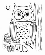 Owl Coloring Pages Halloween Drawing Owls Print Paintingvalley Templates Drawings Animals Kids Printable sketch template