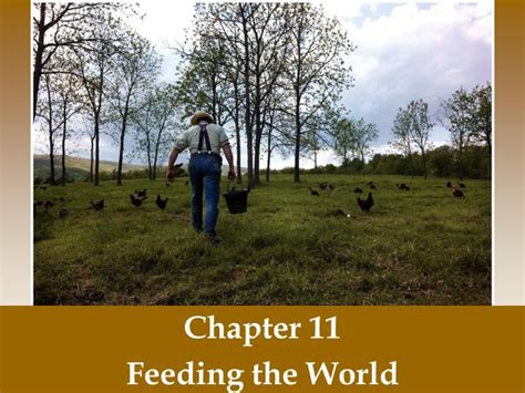 ppt chapter 11 feeding the world powerpoint presentation