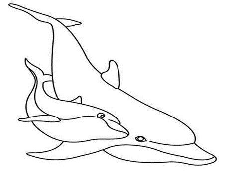 dolphin  drawing clipartsco