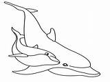 Dolphin Drawing Line Coloring Pages Cliparts Dolphins Printable Kids Color Realistic Baby sketch template