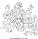 Pigeon Freehand Antistress Dove Drawing Colouring Zentangle Vektorgrafik sketch template