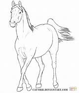 Ausmalbilder Pferderassen Arabier Running Arabian Merrie Yegua Rassen Paarden Mare Caballos Yeguas Zo Caballo Pferde Razas Arabe Paginas sketch template