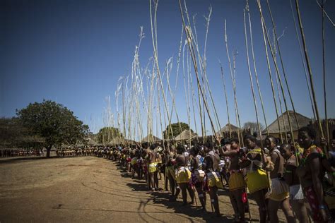 south african maidens perform annual reed dance in pictures