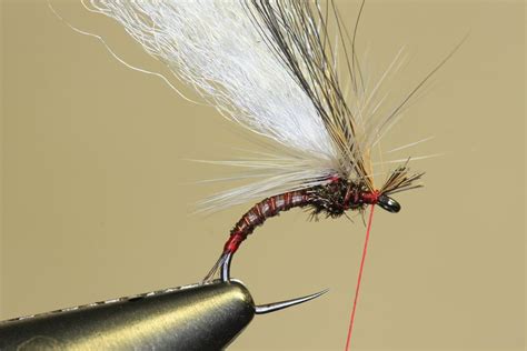 New Dry Fly The Halo Hackle Rab Variant Tomsutcliffe