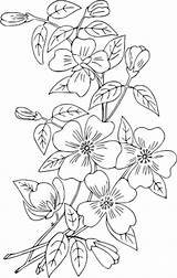 Embroidery Patterns Hand Drawing Designs Blossom Dogwood Getdrawings Automatically Start Pngkey sketch template
