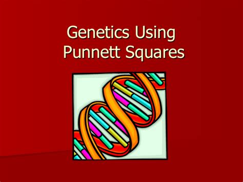 Genetics Using Punnett Squares Ppt For 9th 12th Grade Lesson Planet