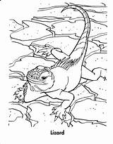 Coloring Pages Reptile Lizard Lizards Reptiles Color Print Kids Popular Template Animals sketch template