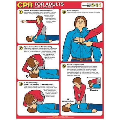 school health cpr chart laminated poster  eyelets infant