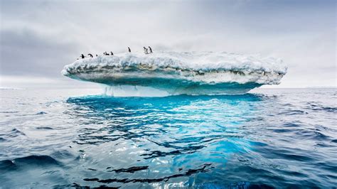 antarctic treaty turns  studies show   expand southern ocean
