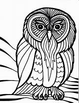 Owl Coloring Pages Color Outline Owls Adults Bird Printable Cool Drawing Cartoon Kids Cute Adult Clipart Birds Print Books Pattern sketch template