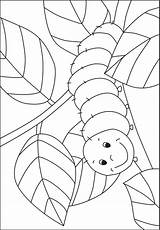 Caterpillar Raupe Nimmersatt Hungry Schmetterling Rups Ausmalbilder Malvorlage Bug Malvorlagen Coloriage Mandala Frühling Mandalas Ausmalen Kigaportal Kleuren Rupsje Nooitgenoeg Projekt sketch template