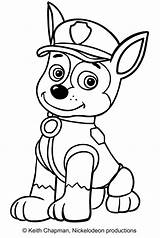 Coloring Patrol Paw Chase Pages Popular sketch template