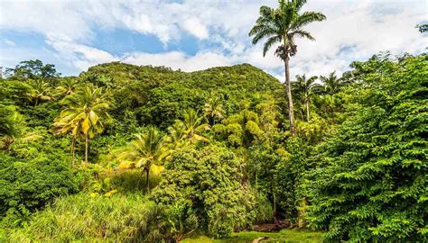 Dominica Reisetipps Dominica 2021 Das Beste In Dominica Entdecken