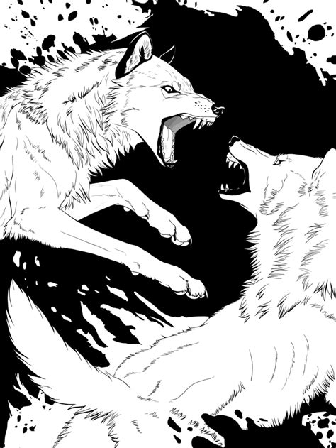 wolfs  fighting   dark   mouths open