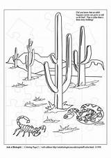 Coloring Desert Pages Printable sketch template