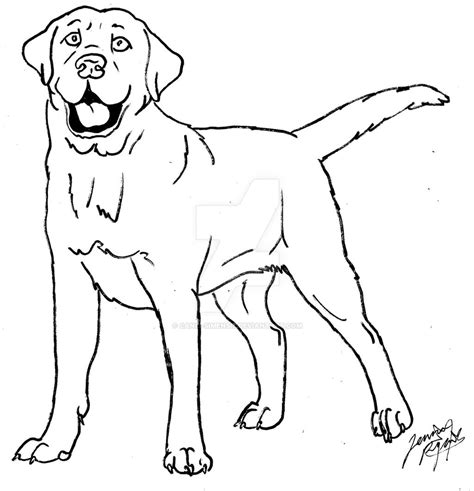 labrador coloring page  canis simensis  deviantart