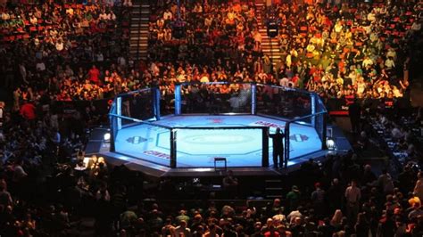 ufc     ufc  play  play   results