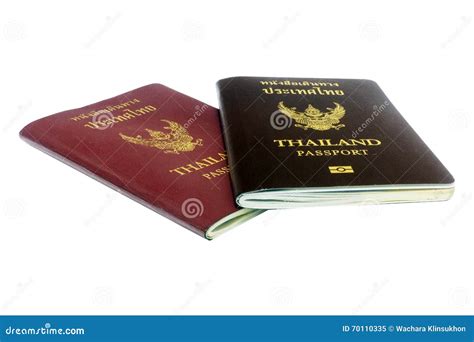 passport   white background stock image image  national business