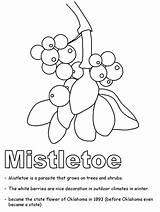 Mistletoe Coloring Pages Oklahoma Kids Geography Kidzone Ws Usa Activities Gif Print Under sketch template