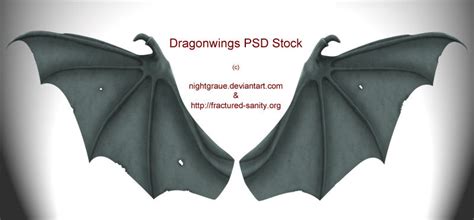 dragon wings psd stock  nightgraue  deviantart