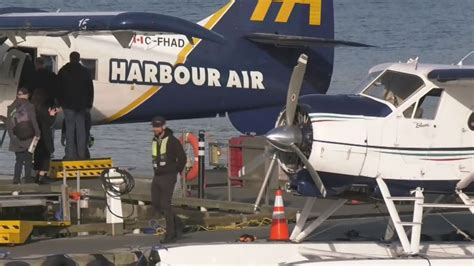 harbour air grounding flights due  covid  ctv news