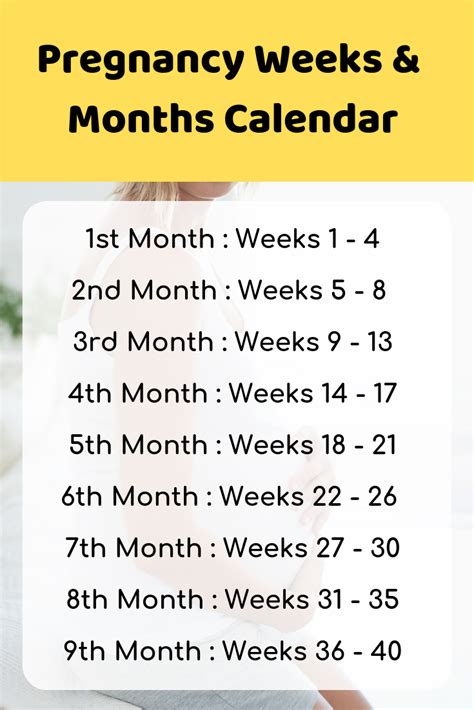 pregnancy calendar week by week printable printable word searches