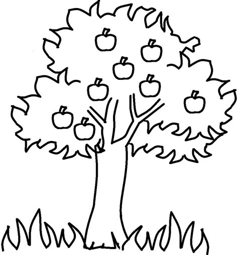 apple tree coloring pages az coloring pages