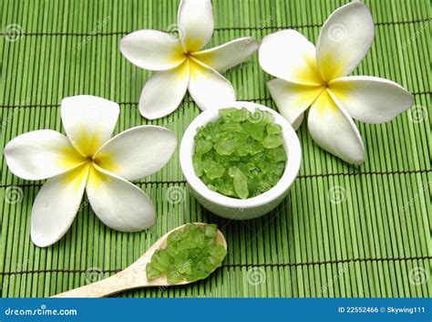 green spa stock photo image  green natural flower