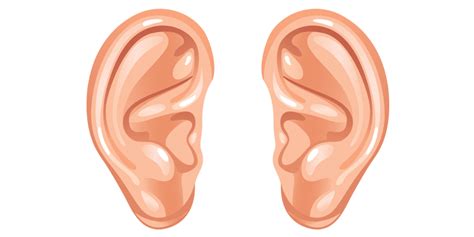ears strange facts  health problems    health secrets  tips