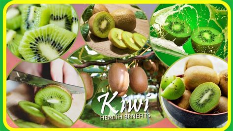 Kiwi Fruit 5 Health Benefits Kiwifruit Facts Ways To Enjoy