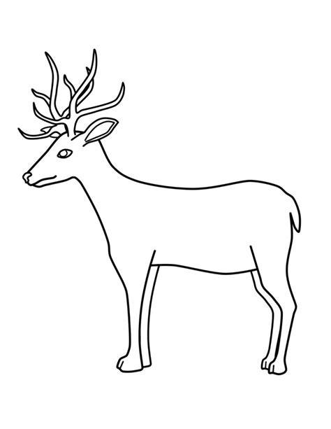 deer coloring page image animal place